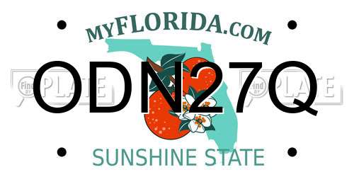 ODN27Q Florida License Plate