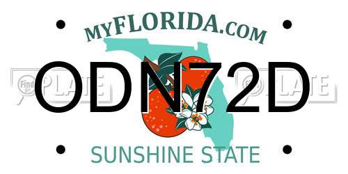 ODN72D Florida License Plate