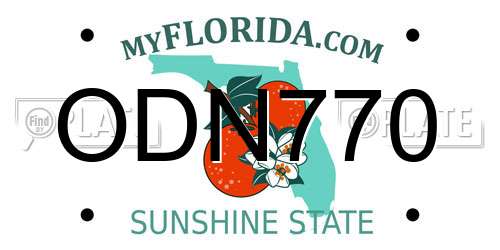 ODN770 Florida License Plate
