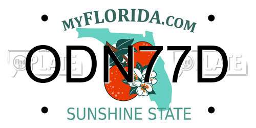 ODN77D Florida License Plate