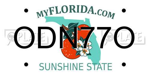ODN77O Florida License Plate