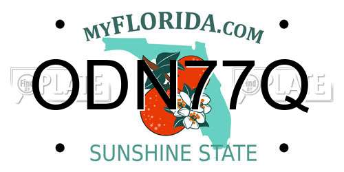 ODN77Q Florida License Plate