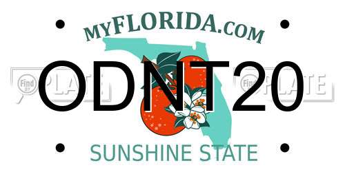 ODNT20 Florida License Plate