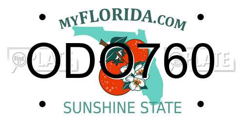 ODO760 Florida License Plate