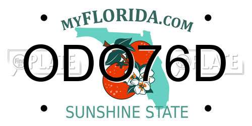 ODO76D Florida License Plate