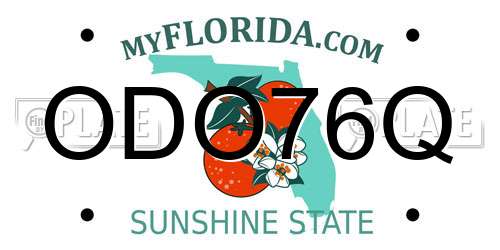 ODO76Q Florida License Plate