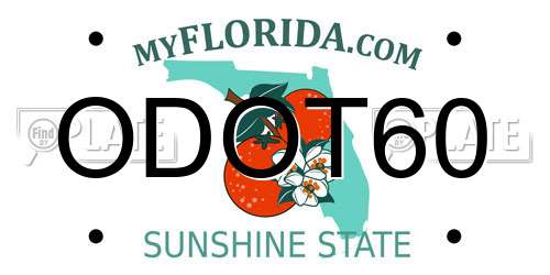 ODOT60 Florida License Plate