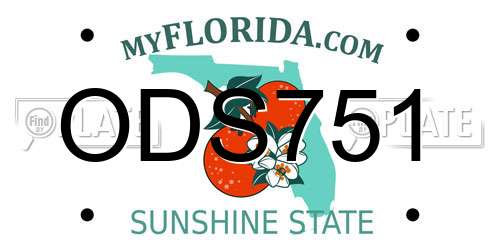 ODS751 Florida License Plate