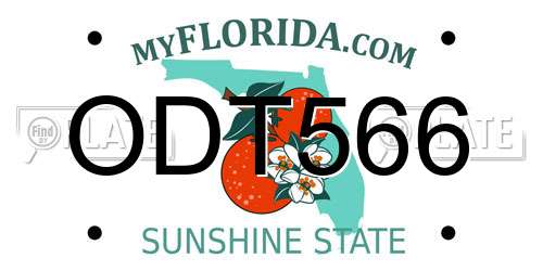 ODT566 Florida License Plate