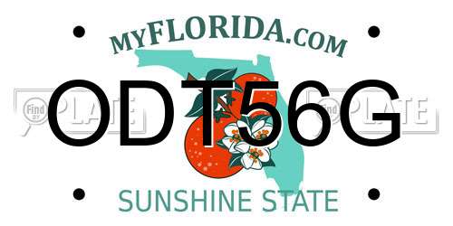 ODT56G Florida License Plate