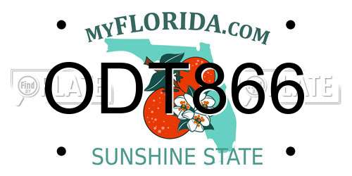 ODT866 Florida License Plate