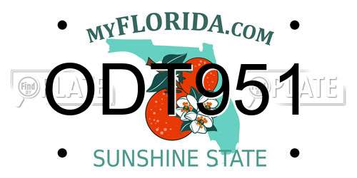 ODT951 Florida License Plate