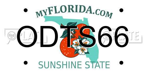 ODTS66 Florida License Plate