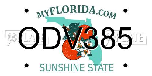 ODV385 Florida License Plate