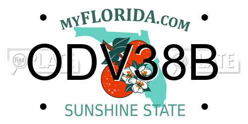 ODV38B Florida License Plate