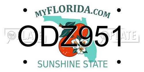 ODZ951 Florida License Plate