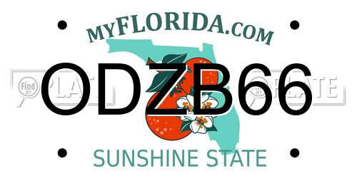 ODZB66 Florida License Plate