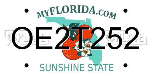 OE2T252 Florida License Plate
