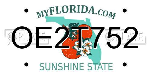 OE2T752 Florida License Plate