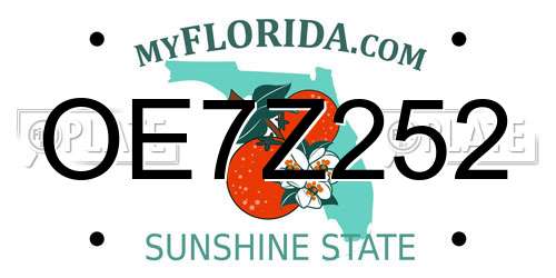 OE7Z252 Florida License Plate