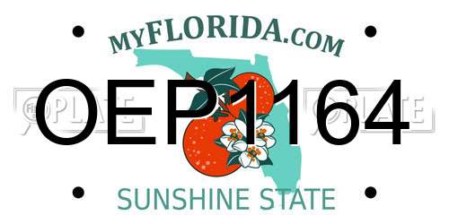 OEP1164 Florida License Plate