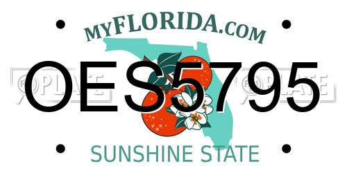 OES5795 Florida License Plate