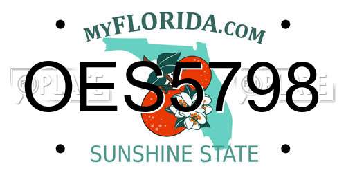 OES5798 Florida License Plate