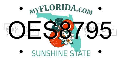 OES8795 Florida License Plate