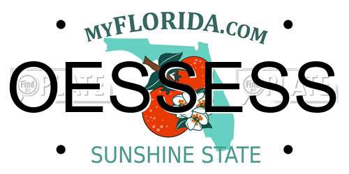 OESSESS Florida License Plate