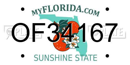 OF34167 Florida License Plate