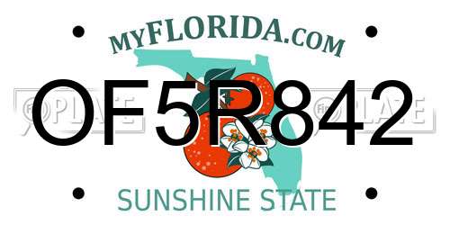 OF5R842 Florida License Plate