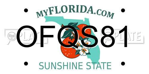 OFQS81 Florida License Plate