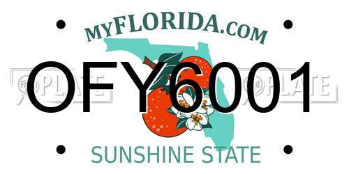 OFY6001 Florida License Plate