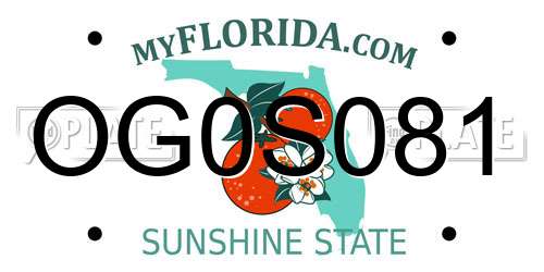 OG0S081 Florida License Plate