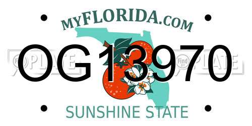 OG13970 Florida License Plate