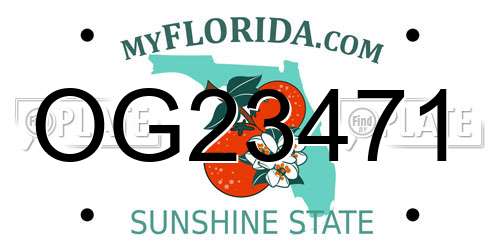 OG23471 Florida License Plate
