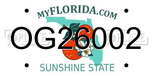 OG26002 Florida License Plate