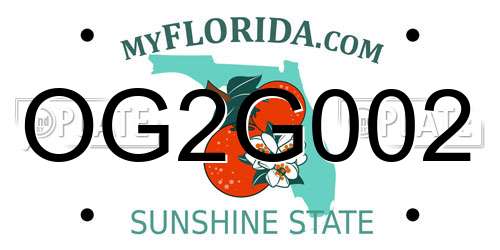 OG2G002 Florida License Plate