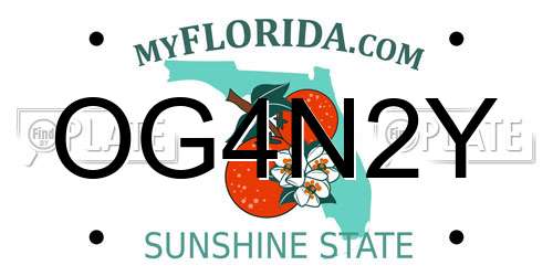 OG4N2Y Florida License Plate
