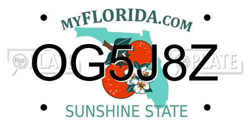 OG5J8Z Florida License Plate