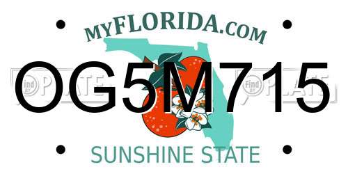 OG5M715 Florida License Plate