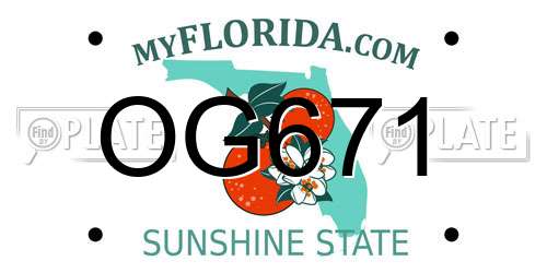 OG671 Florida License Plate