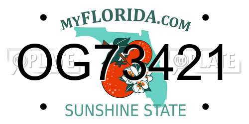 OG73421 Florida License Plate