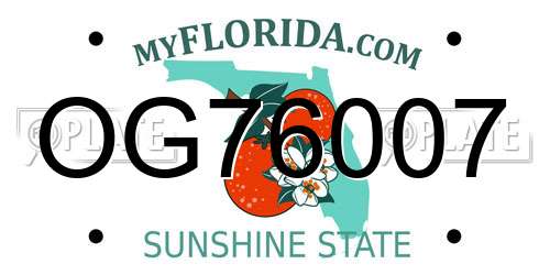 OG76007 Florida License Plate