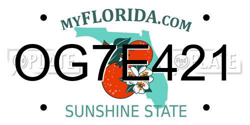 OG7E421 Florida License Plate