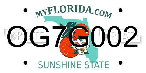 OG7G002 Florida License Plate
