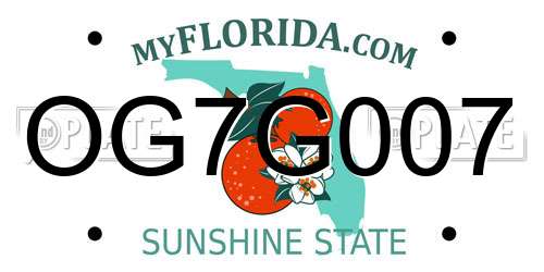 OG7G007 Florida License Plate