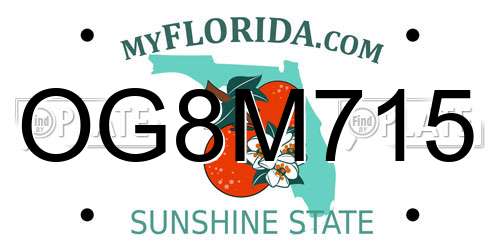 OG8M715 Florida License Plate