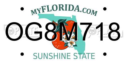 OG8M718 Florida License Plate