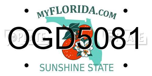 OGD5081 Florida License Plate